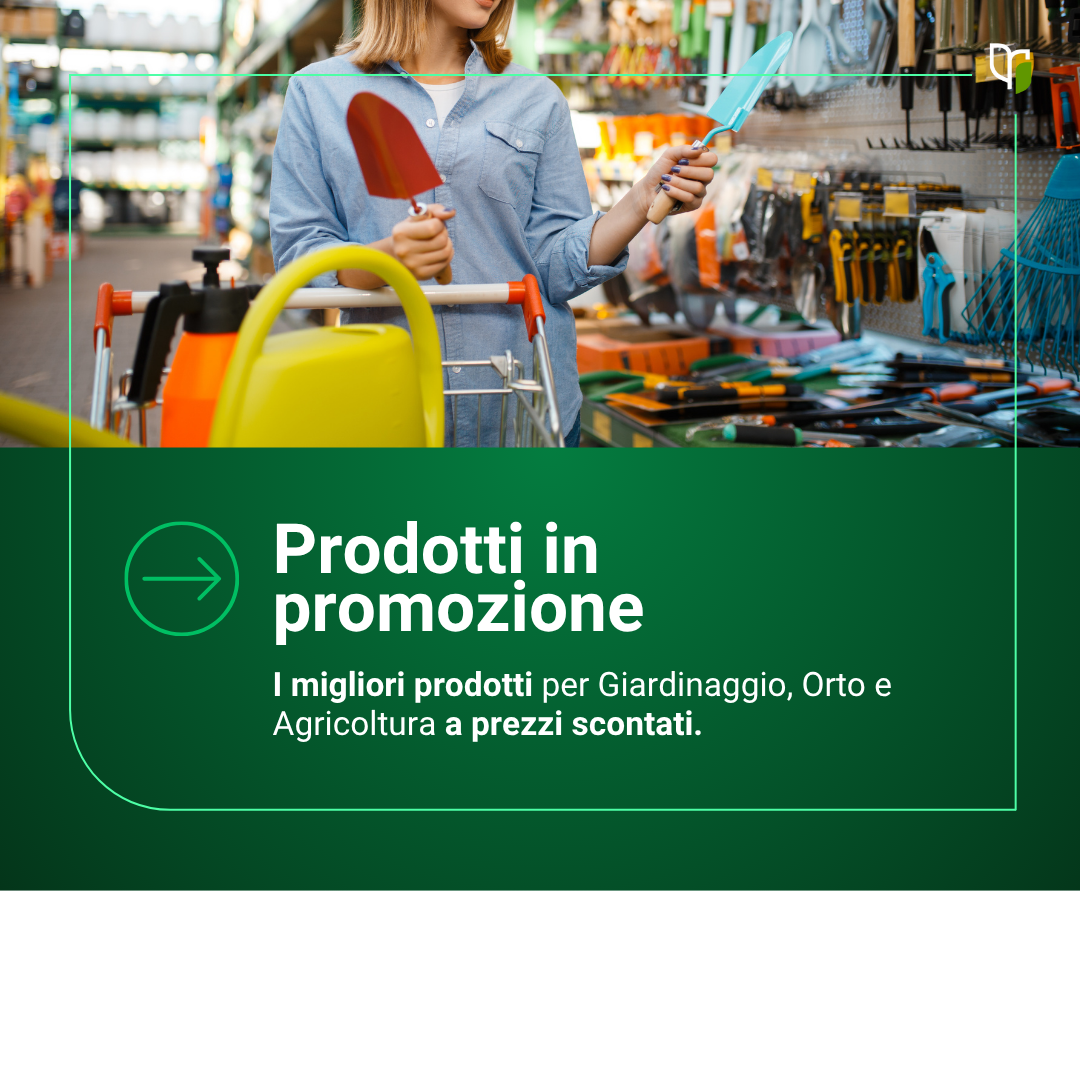 PRODOTTI IN PROMOZIONE