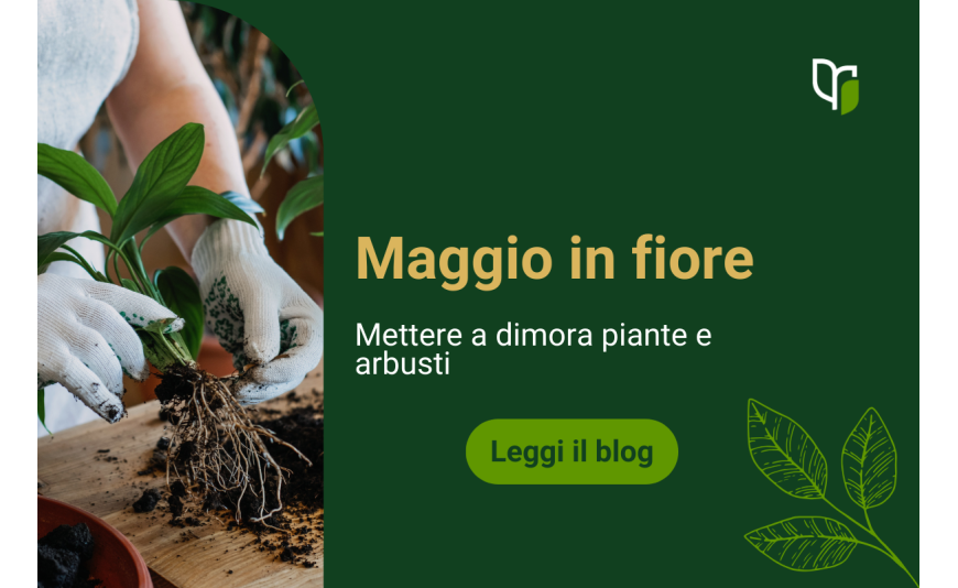 Maggio in Fiore: mettere a dimora piante e arbusti Maggio in Fiore: mettere a dimora piante e arbusti