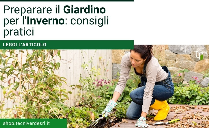 Guida Completa alla Messa a Dimora degli Alberi da Frutto in Autunno Guida Completa alla Messa a Dimora degli Alberi da Frutto in Autunno